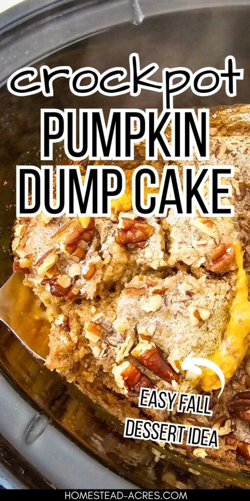 Lifting a serving of pumpkin cake out of a slow cooker. The text overlay says Crockpot Pumpkin Dump Cake Easy Fall Dessert Idea.