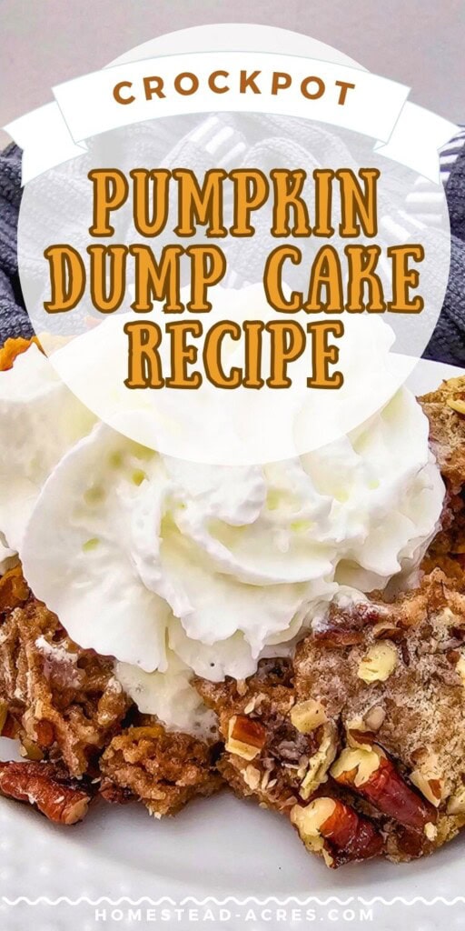 A slice of pumpkin cake with whipped cream on a white plate. The text overlay says Crockpot Pumpkin Dump Cake Recipe.