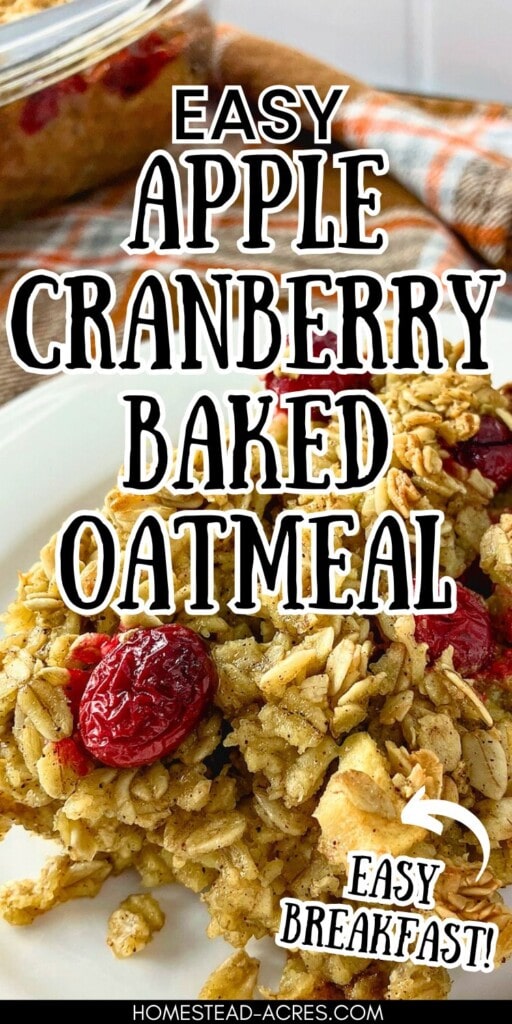 A slice of cranberry apple baked oatmeal on a plate. The text overlay says Easy Apple Cranberry Baked Oatmeal Easy Breakfast.
