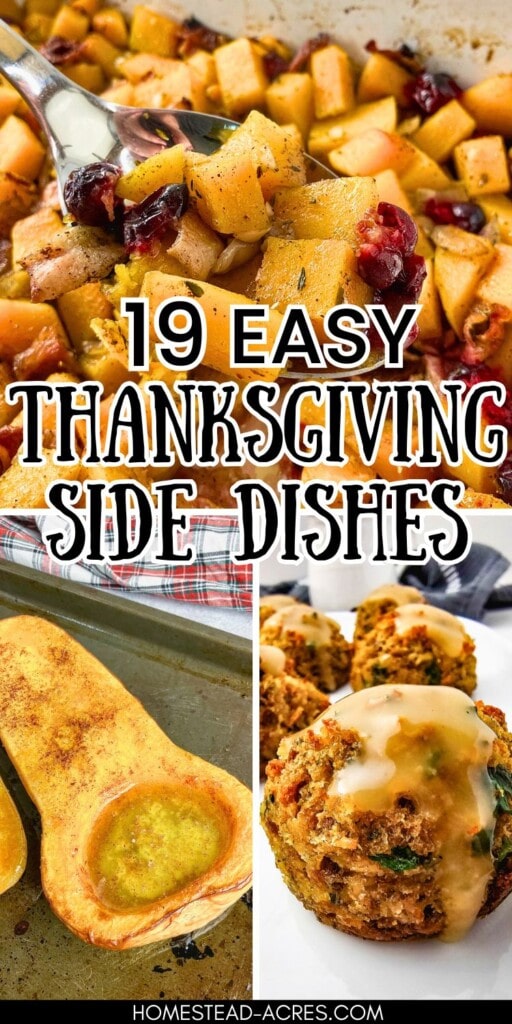 A collage of butternut squash cranberry casserole, baked butternut squash, and stuffing muffins. The text overlay says 19 Easy Thanksgiving Side Dishes.