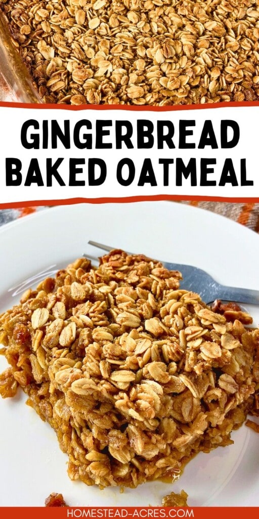 A collage of Christmas baked oatmeal in a baking dish and a slice on a plate. The text overlay says Gingerbread Baked Oatmeal.