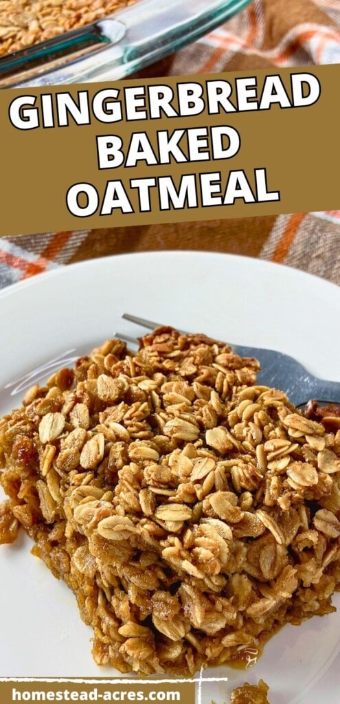 A slice of gingerbread oat bake on a plate. The text overlay says Gingerbread Baked Oatmeal.