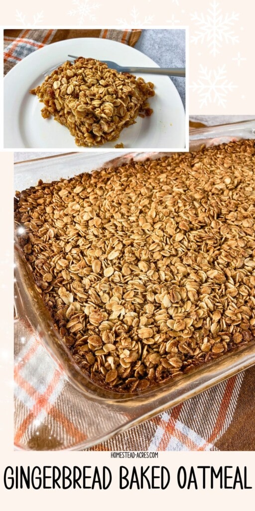 A collage of a pan of gingerbread baked oats and a slice on a plate. The text overlay says Gingerbread Baked Oatmeal.
