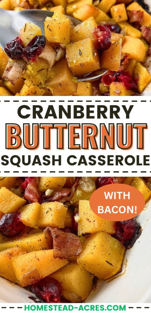A collage of baked butternut squash with cranberries and bacon in a casserole dish and lifting a serving spoonful. The text overlay says Cranberry Butternut Squash Casserole With Bacon!