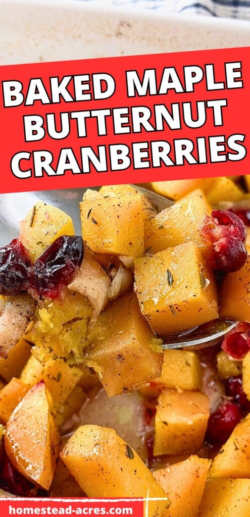 Lifting up a serving spoon of butternut squash casserole. The text overlay says Baked Maple Butternut Cranberries.