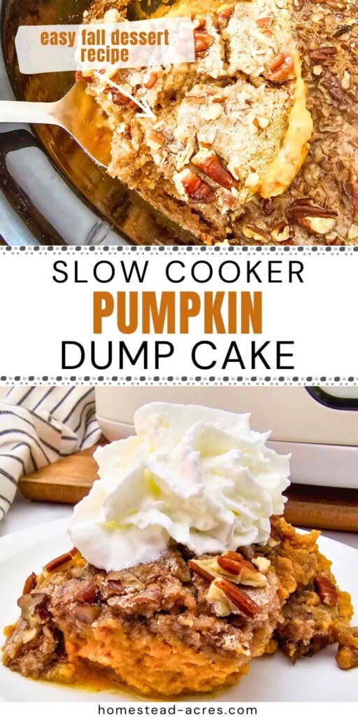 A collage of lifting a slice of pumpkin cake out of a slow cooker and a slice on a plate with whipped cream. The text overlay says Slow Cooker Pumpkin Dump Cake Easy Fall Dessert Recipe.