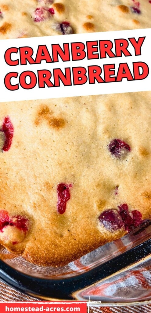 A baking dish of cornbread with cranberries cooling on the counter. The text overlay says Cranberry Cornbread.