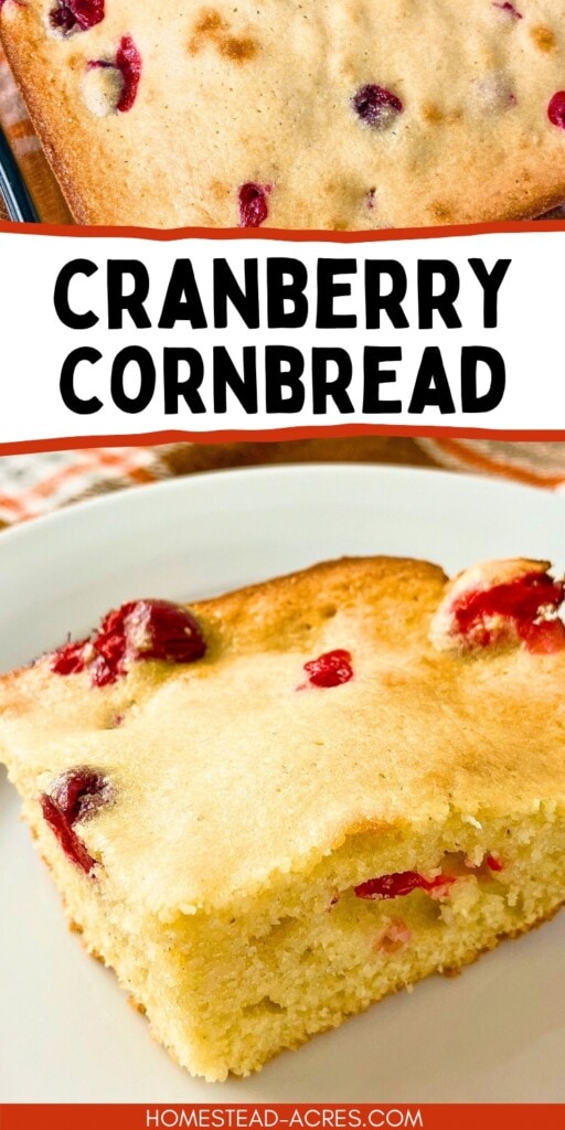 A collage of a baking dish and slice of homemade cornbread with cranberries. The text overlay says Cranberry Cornbread.