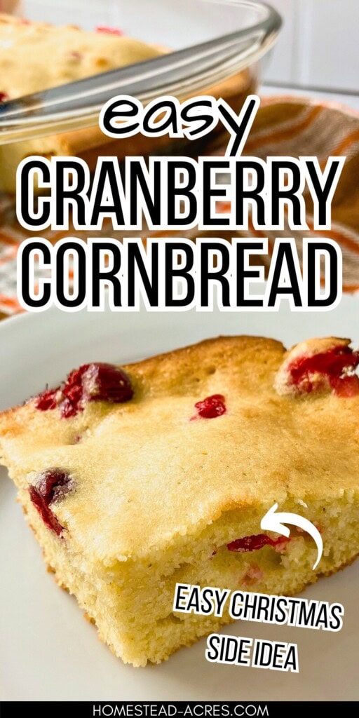 A slice of warm cornbread with cranberries on a plate next to a baking dish. The text overlay says Easy Cranberry Cornbread Easy Christmas Side Idea.