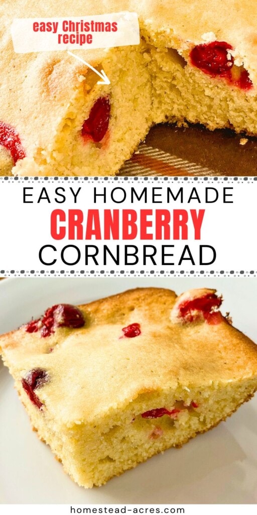 A collage of a slice of cranberry cornbread on a plate and a slice removed from the baking dish. The text overlay says Easy Homemade Cranberry Cornbread. Easy Christmas Recipe.