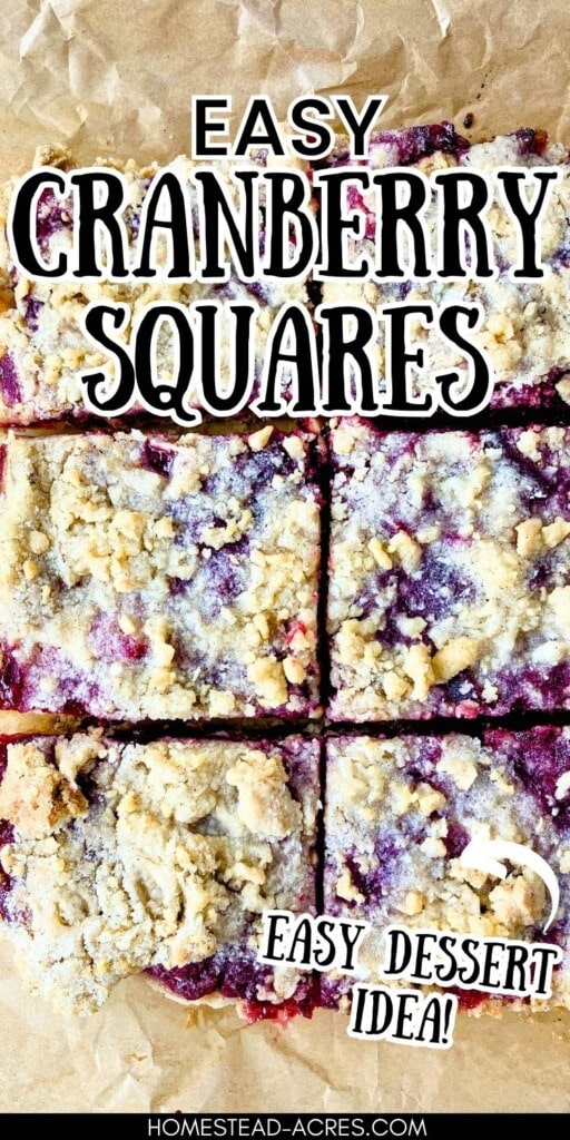 Cranberry squares cut into sections and sitting on top of parchment paper. The text overlay says Easy Cranberry Squares Easy Dessert Idea.
