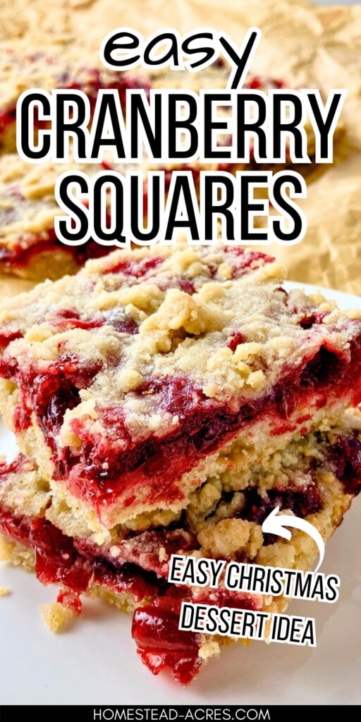 Two slices of cranberry crumb bars stacked on top of each other on a white plate. The text overlay says Easy Cranberry Squares Easy Christmas Dessert Idea.