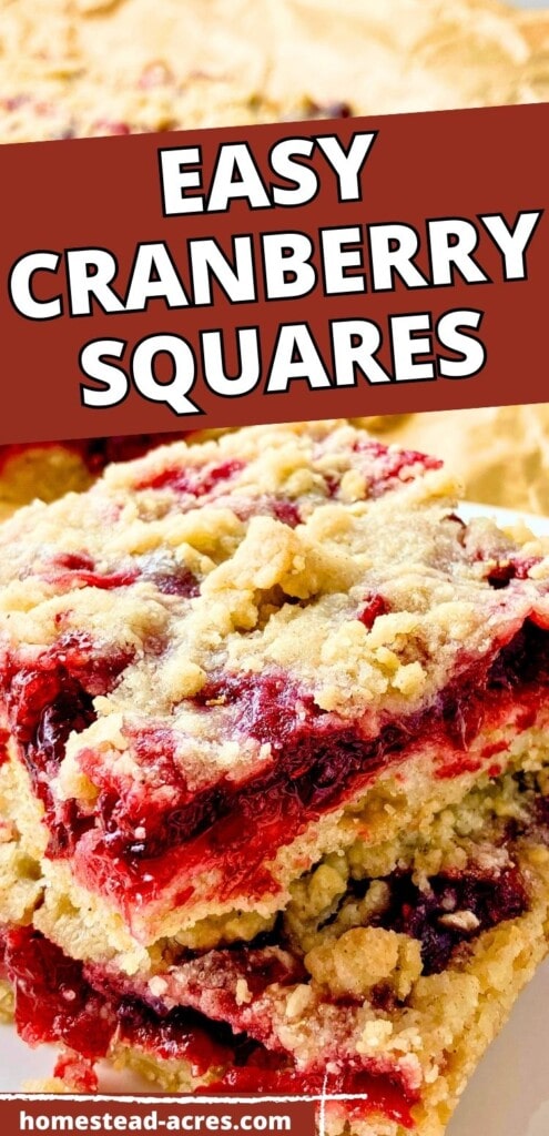 Two slices of cranberry crumb bars stacked on top of each other on a white plate. The text overlay says Easy Cranberry Squares.