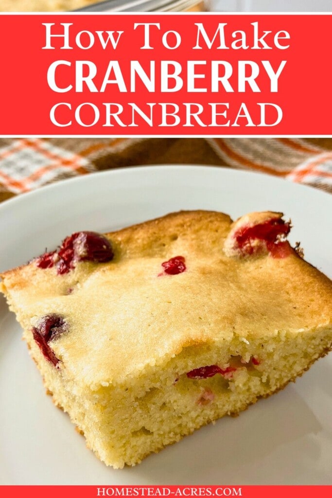 A slice of homemade cranberry cornbread on a white plate. The text overlay says How To Make Cranberry Cornbread.