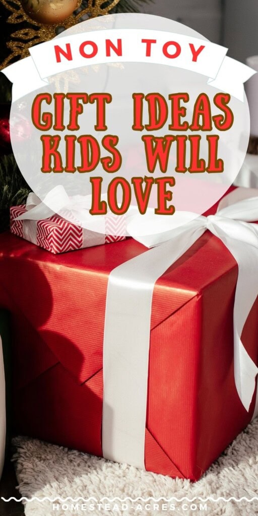 Two red presents under a Christmas tree. The text overlay says Non Toy Gift Ideas Kids Will Love.