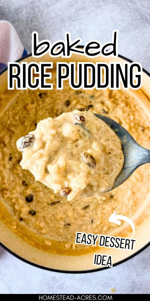 A large Dutch oven filled with homemade rice pudding is sitting on the counter. The text overlay says Baked Rice Pudding Easy Dessert Idea.