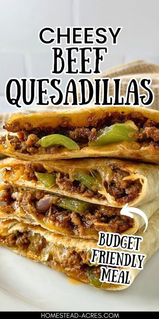 Delicious cheesy beef quesadillas with green peppers, and red onions perfect for a budget-friendly meal. The text overlay says Cheesy Beef Quesadillas Budget Friendly Meal.