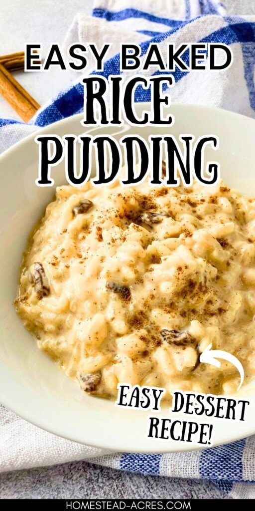 A white bowl of homemade rice pudding with cinnamon and raisins sitting on the counter. The text overlay says Easy Baked Rice Pudding Easy Dessert Recipe.