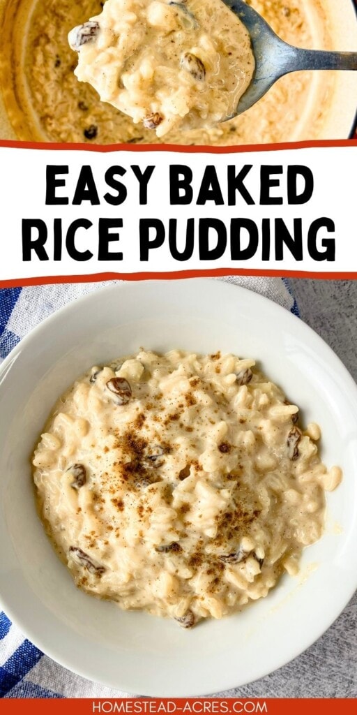 A collage of a serving spoon of rice pudding held over a pot and a bowl full on the counter. The text overlay says Easy Baked Rice Pudding.
