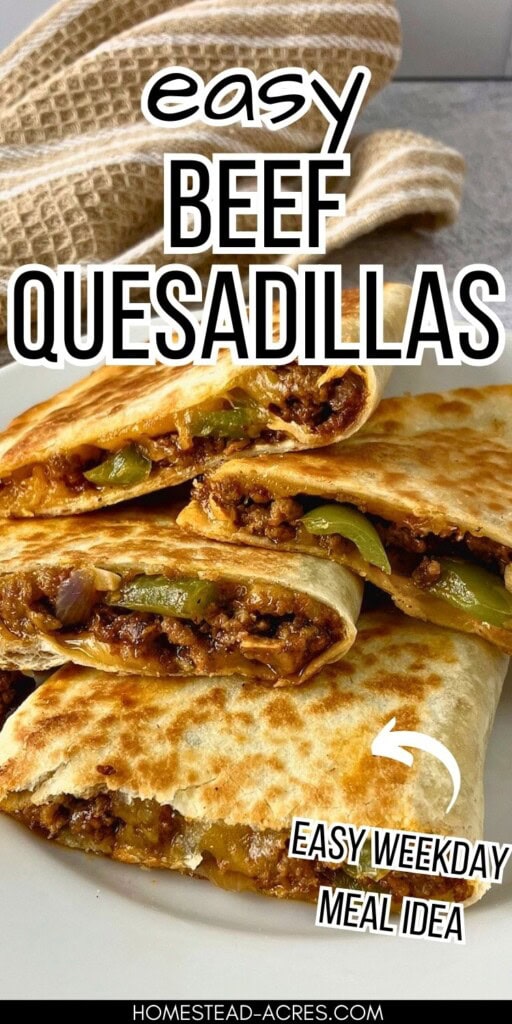 Four slices of ground beef quesadillas on a plate. The text overlay says Easy Beef Quesadillas Easy Weekday Meal Idea.