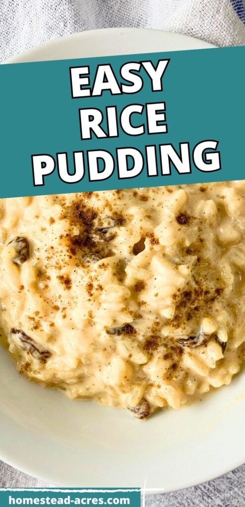 A white bowl of homemade rice pudding with raisins and cinnamon. The text overlay says Easy Rice Pudding.