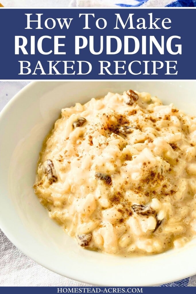A bowl of homemade rice pudding topped with cinnamon. The text overlay says How To Make Rice Pudding Baked Recipe.