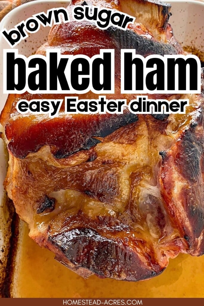A cooked bone in baked ham in a baking dish. The text overlay says Brown Sugar Baked Ham Easy Easter Dinner.
