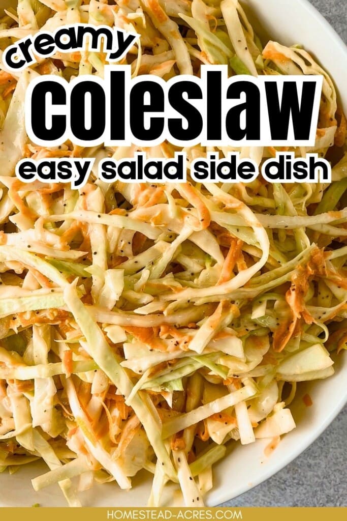 A white serving dish of homemade coleslaw. The text overlay says Creamy Coleslaw Easy Salad Side Dish.
