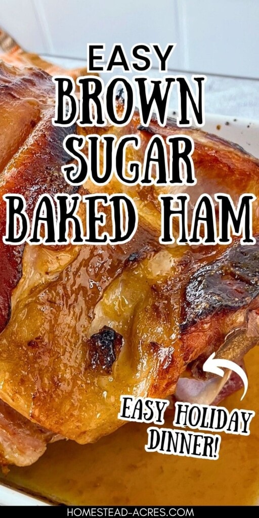 A baked ham in a baking dish coated with a homemade glaze. The text overlay says Easy Brown Sugar Baked Ham Easy Holiday Dinner.