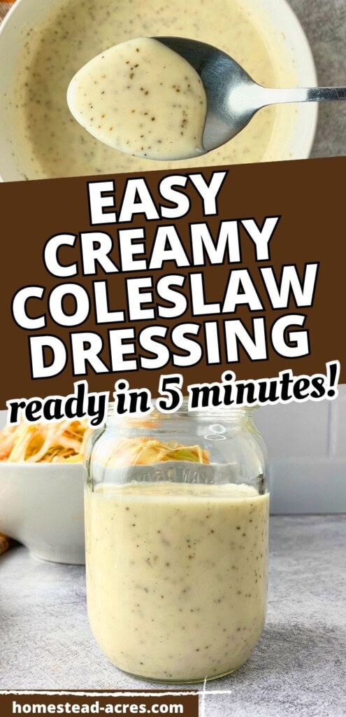 A collage of homemade slaw dressing on a spoon and in a jar. The text overlay says Easy Creamy Coleslaw Dressing Ready In 5 Minutes!