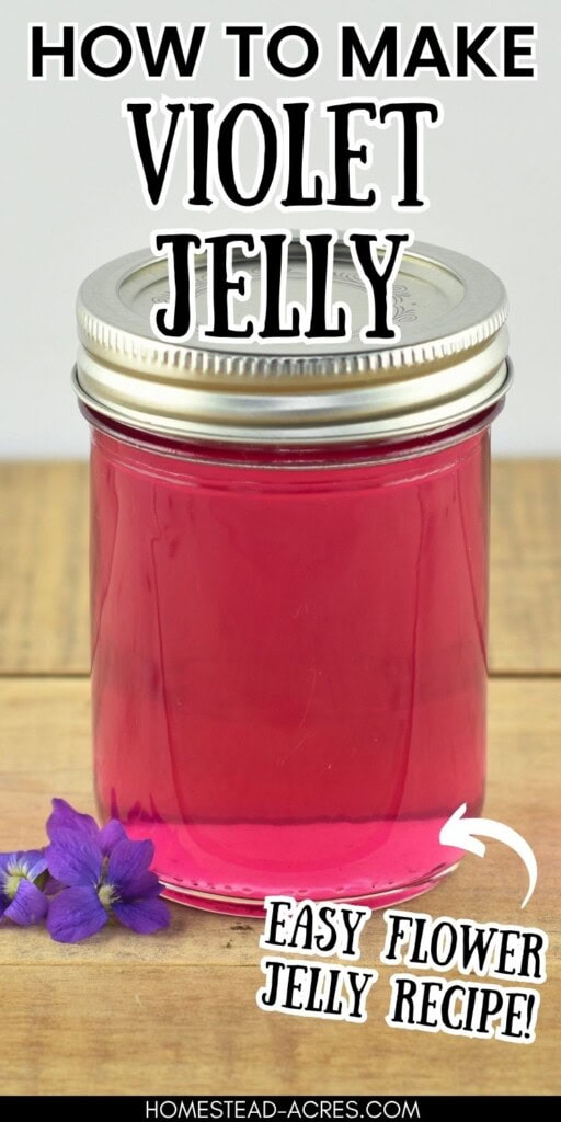 A jar of wild violet jelly sitting on a wooden counter next to violet flowers. The text overlay says How To Make Violet Jelly Easy Flower Jelly Recipe.