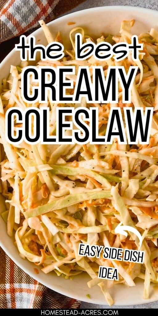 A large white bowl filled with homemade coleslaw sits on the counter. The text overlay says The Best Creamy Coleslaw Easy Side Dish Idea.