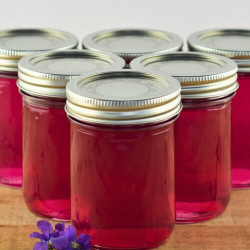 Six jars of homemade violet jelly are sitting on the counter next to wild violet flowers.