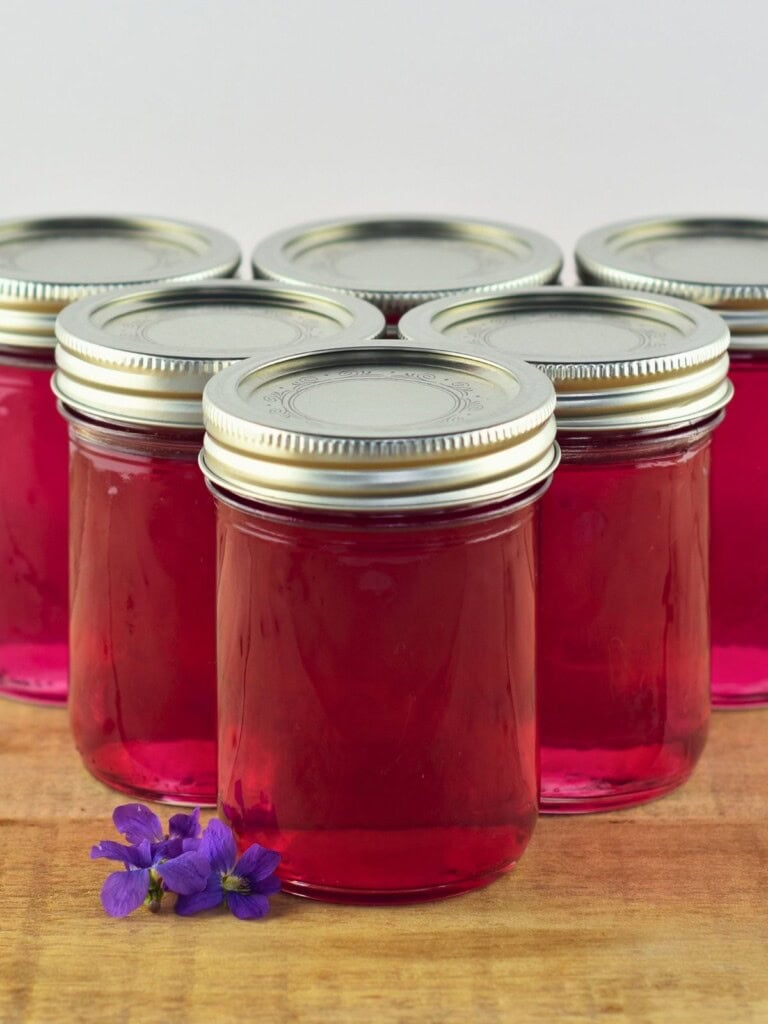 Six jars of homemade violet jelly are sitting on the counter next to wild violet flowers.