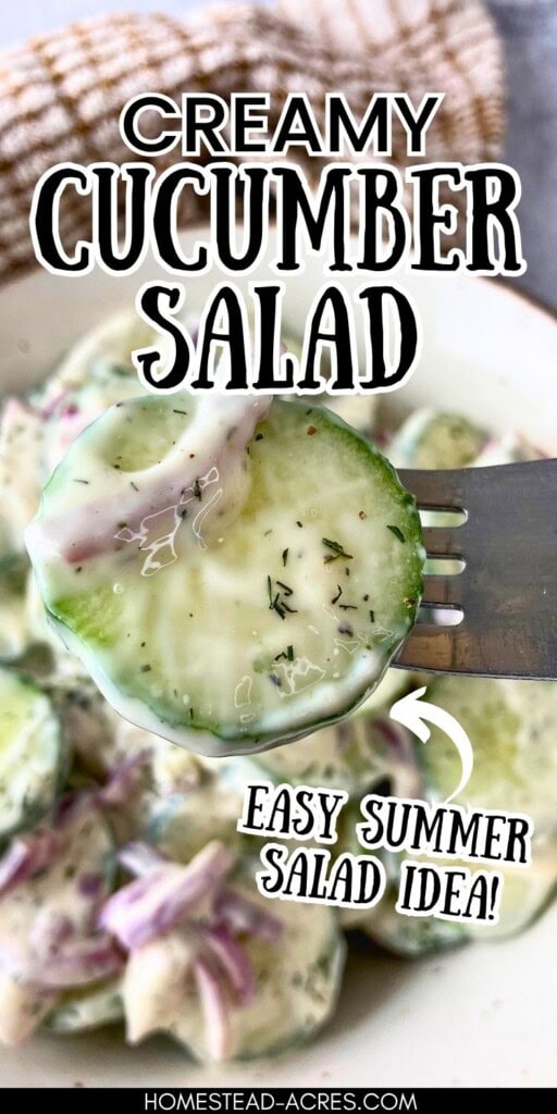 A forkful of cucumber salad lifted over a bowl. The text overlay says Creamy Cucumber Salad Easy Summer Salad Idea!