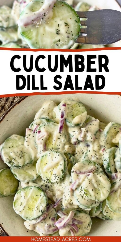 A collage of a bowl of cucumber salad and some on a fork. The text overlay says Cucumber Dill Salad.