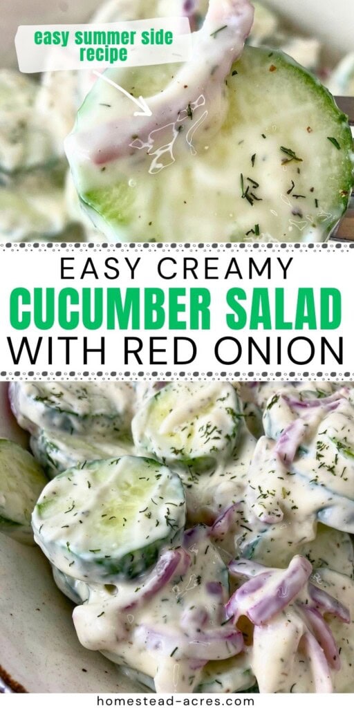 A collage of cucumber and onion salad. The text overlay says Easy Creamy Cucumber Salad With Red Onion Easy Summer Side Recipe.