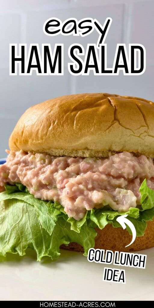 A ham salad sandwich on a bun. The text overlay reads "Easy Ham Salad Cold Lunch Idea."