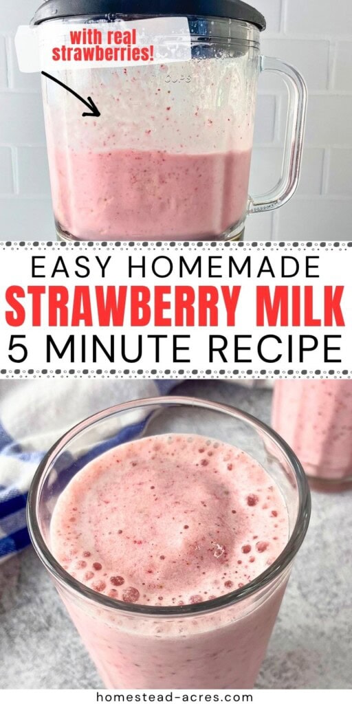 Homemade strawberry milk shown in a blender and poured into a glass. Text reads "Easy Homemade Strawberry Milk 5 Minute Recipe With Real Strawberries."