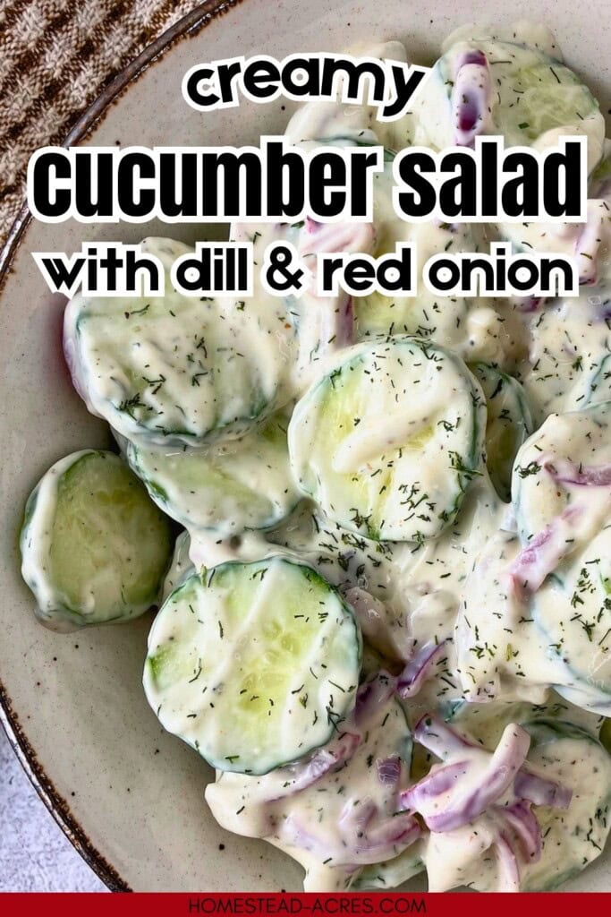 A brown serving bowl filled with cucumber salad. The text overlay says Creamy Cucumber Salad With Dill And Red Onion.