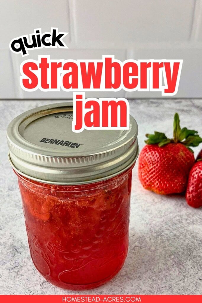 A jar of homemade strawberry jam is on the counter next to fresh strawberries. The text overlay reads "Quick Strawberry Jam."
