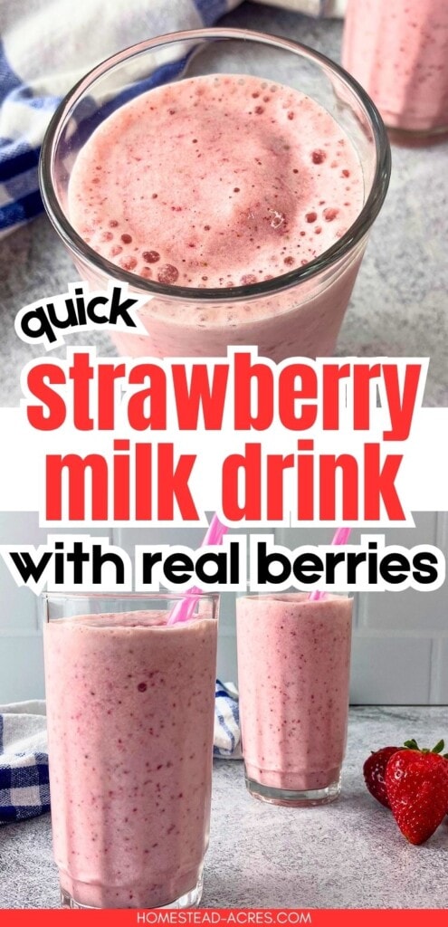 Glasses of pink strawberry milk with fresh strawberries and a blue and white towel on a gray countertop. Text reads "quick strawberry milk drink with real berries."