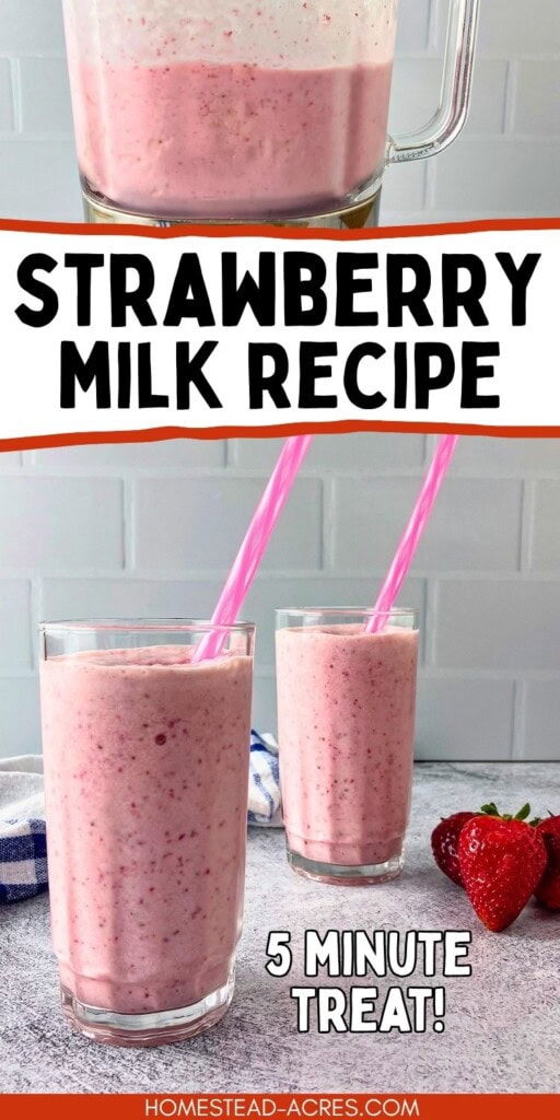 A blender of pink strawberry milk and two glasses of strawberry milk with pink straws and fresh strawberries on a gray countertop. Text reads "Strawberry Milk Recipe 5 minute treat."