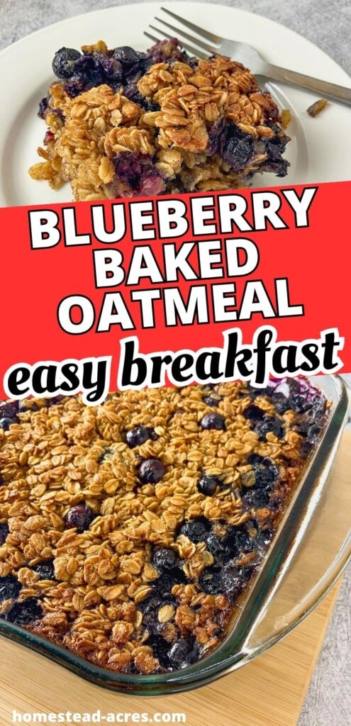 Blueberry baked oatmeal in a glass baking dish with a plated serving above it. Text reads "Blueberry baked oatmeal easy breakfast"
