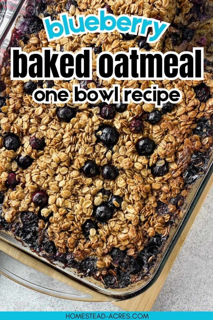 Blueberry baked oatmeal in a glass baking dish with golden oats and whole blueberries baked into the top. Text reads "blueberry baked oatmeal one bowl recipe."