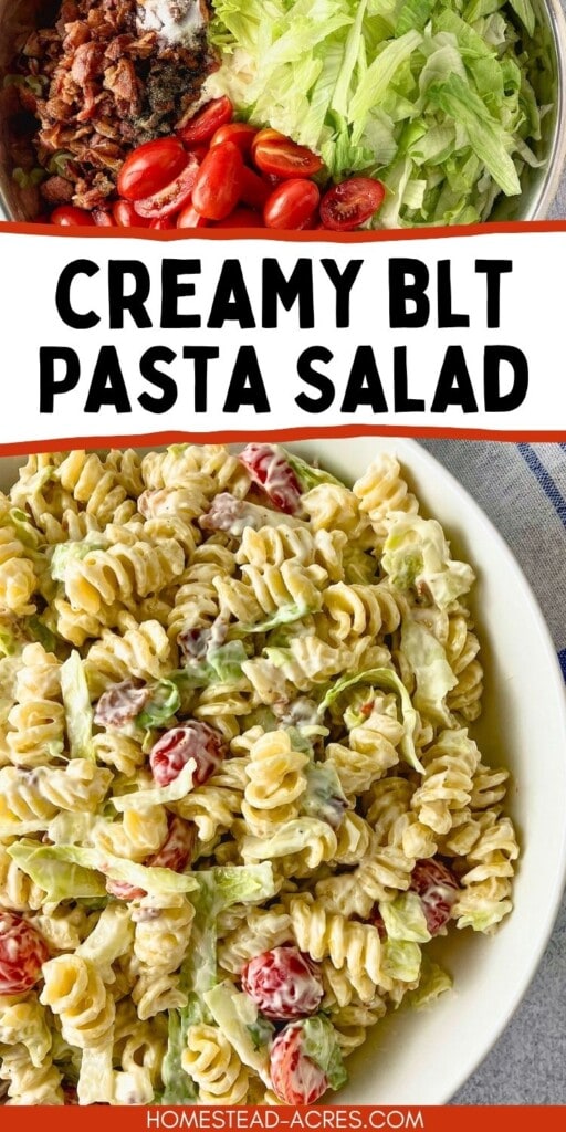 Creamy BLT pasta salad in a bowl with a smaller photo of the ingredients layered at the top. The text reads "Creamy BLT Pasta Salad".