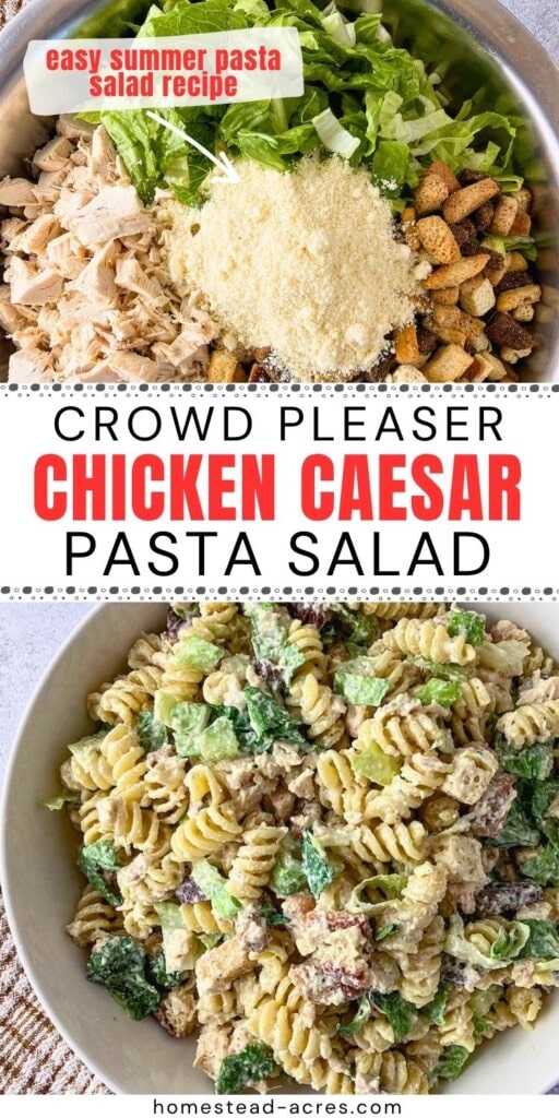 Collage showing chicken Caesar pasta salad ingredients before mixing and a finished bowl of pasta salad with rotini, chopped chicken, romaine lettuce, croutons, Parmesan cheese, and creamy dressing. The graphic text reads "Easy Summer Pasta Salad Recipe. Crowd Pleaser Chicken Caesar Pasta Salad."