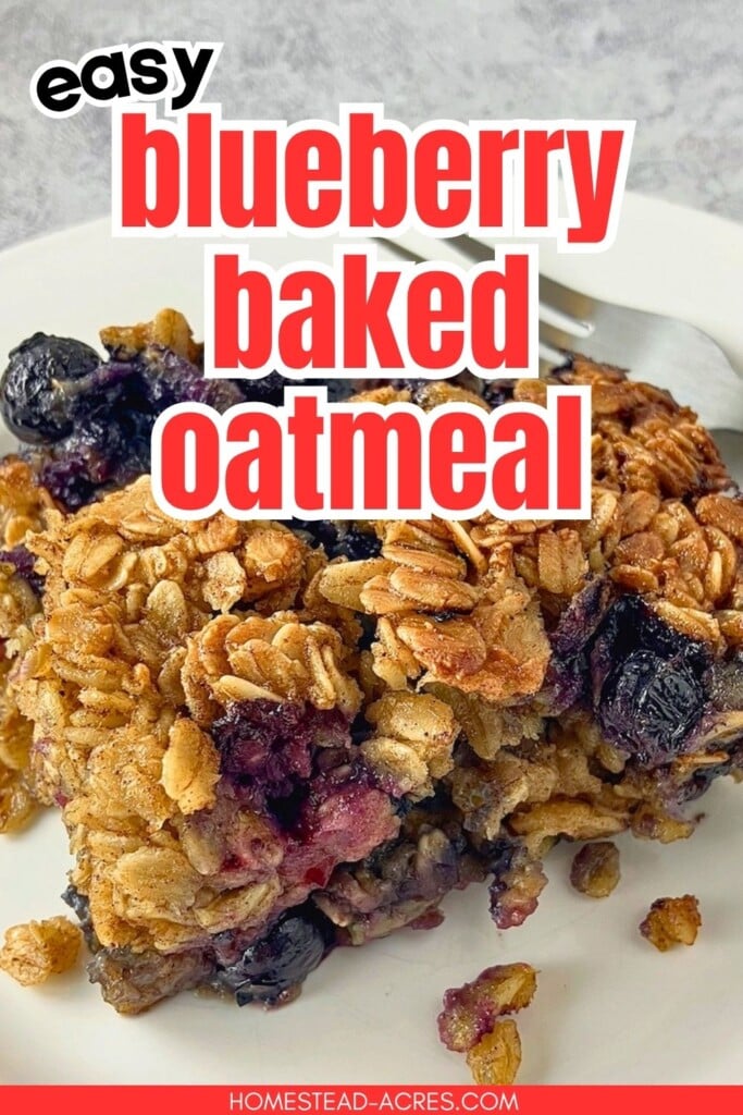 Slice of blueberry baked oatmeal on a white plate with whole blueberries and golden oats on top. Text reads "easy blueberry baked oatmeal".