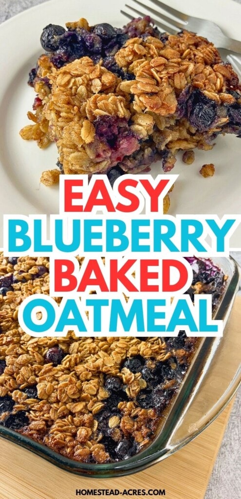 Slice of blueberry baked oatmeal on a plate above a full glass baking dish of oatmeal with whole blueberries and golden oats. Text reads "Easy blueberry baked oatmeal".