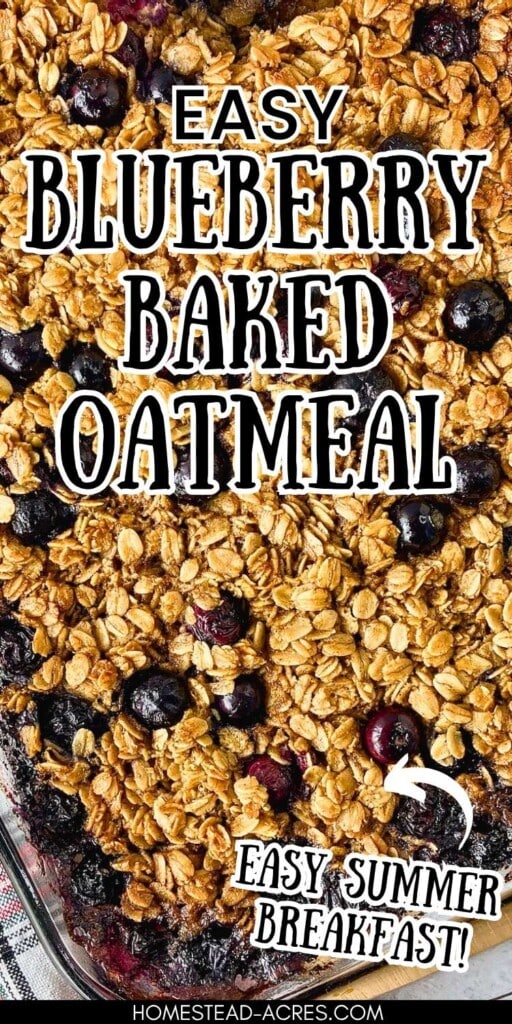 Close up of blueberry baked oatmeal with golden oats and whole blueberries in a glass baking dish. Text reads "Easy blueberry baked oatmeal easy summer breakfast".